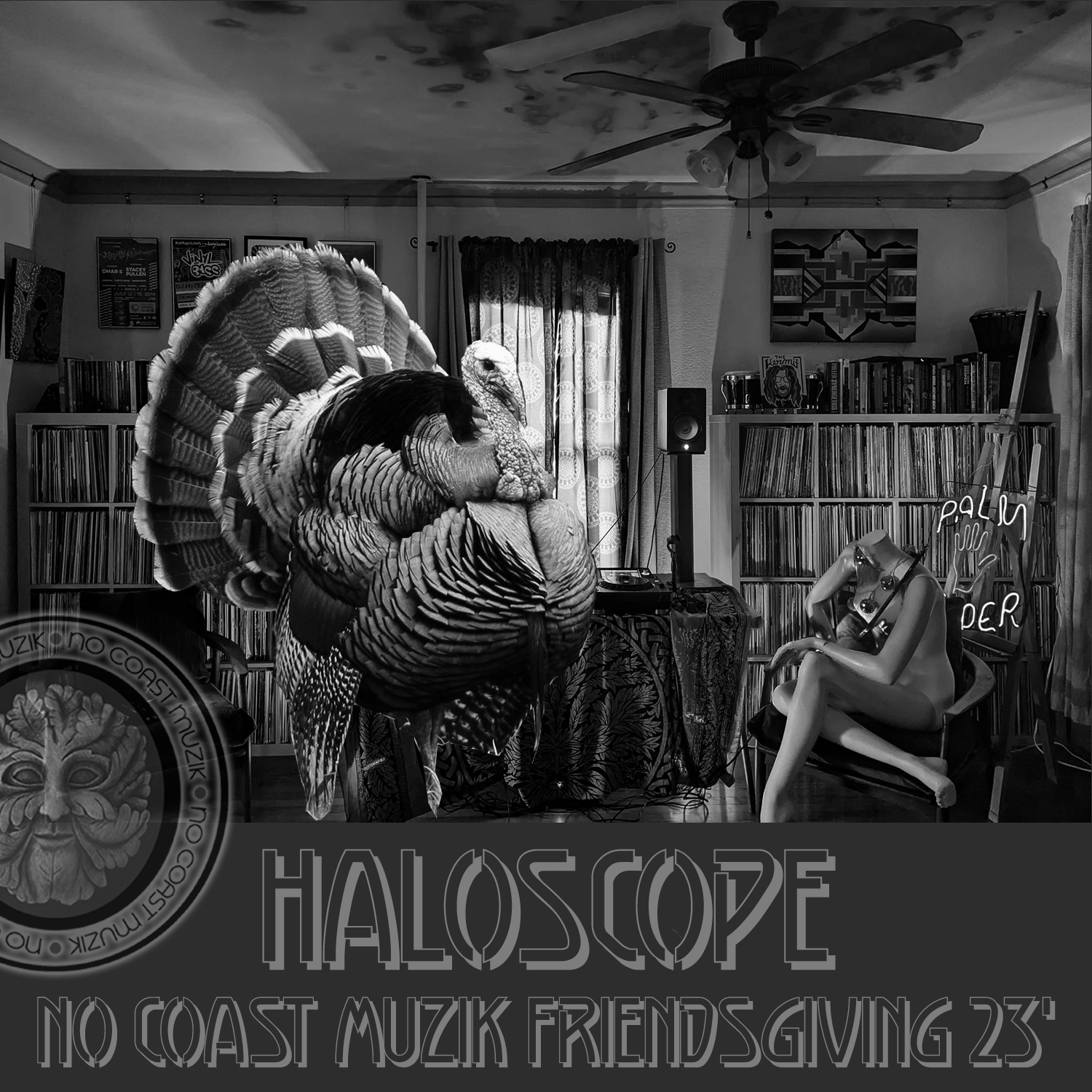 Haloscope - Live @ NCM Friendsgiving 2023