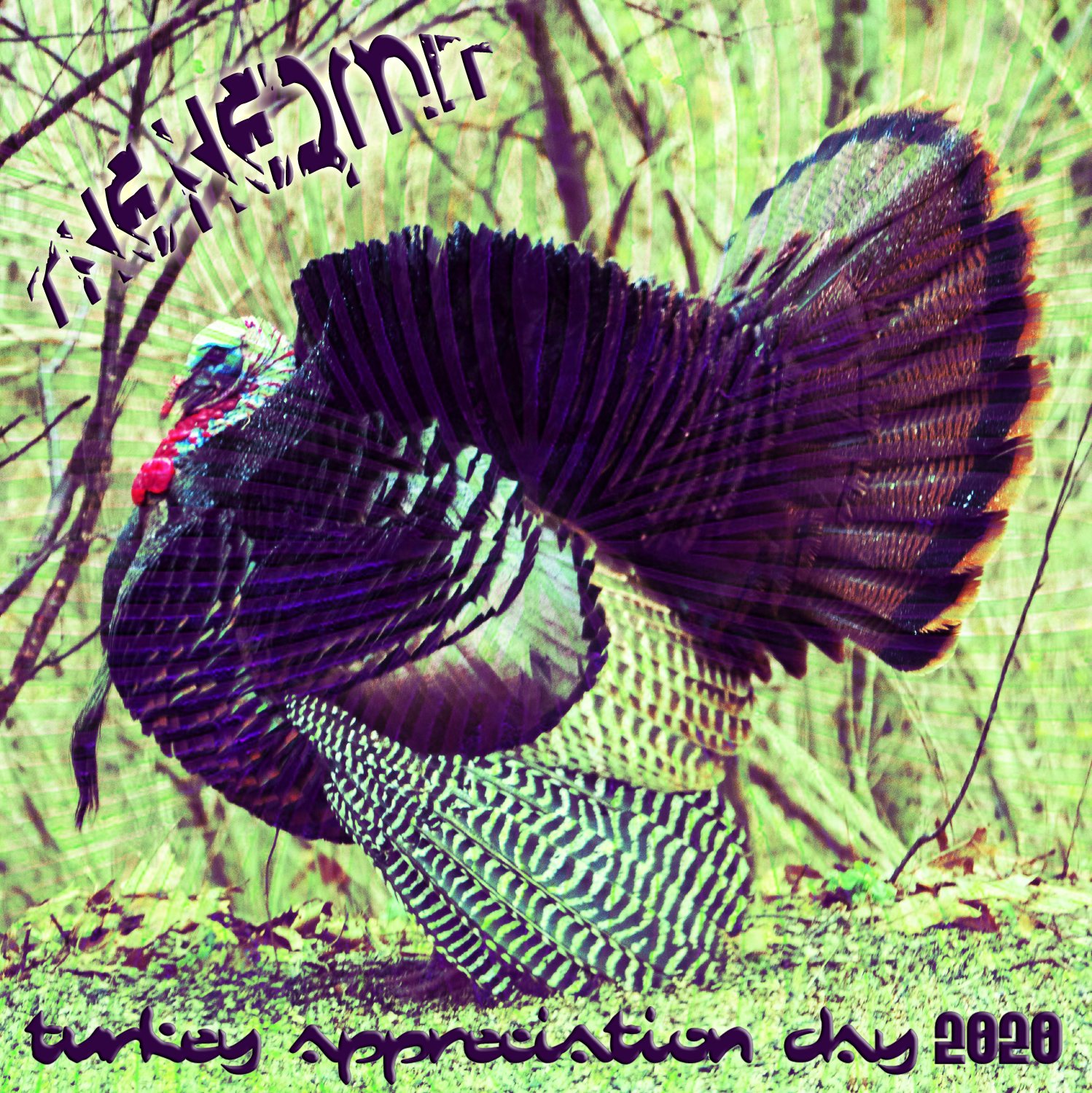 The Hermit - Turkey Appreciation Day 2020